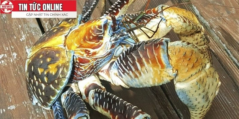 Món ăn hải sản đậm đà và bổ dưỡng cho mọi người