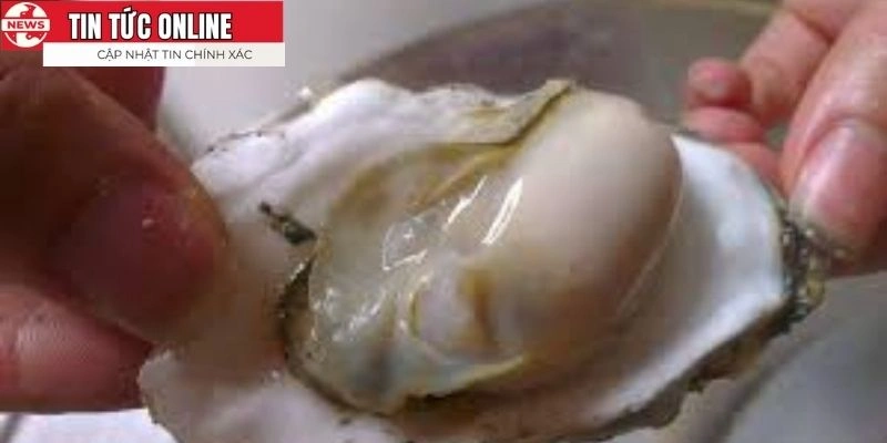 Lý do loại hải sản này được các tín đồ săn đón