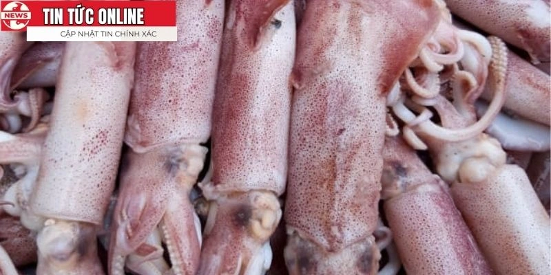 Có thể chế biến được nhiều món từ mực nhanh chóng và lẹ làng