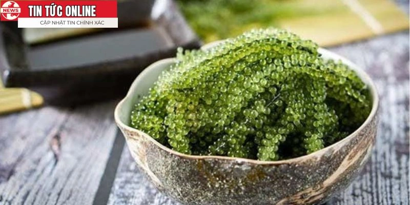 Tươi ngon và giàu dưỡng chất cho sức khỏe