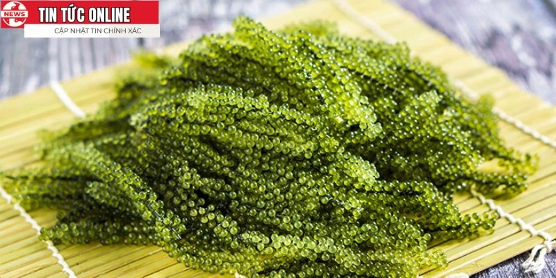 Món ăn vô cùng tươi ngon và giàu dưỡng chất cho sức khỏe
