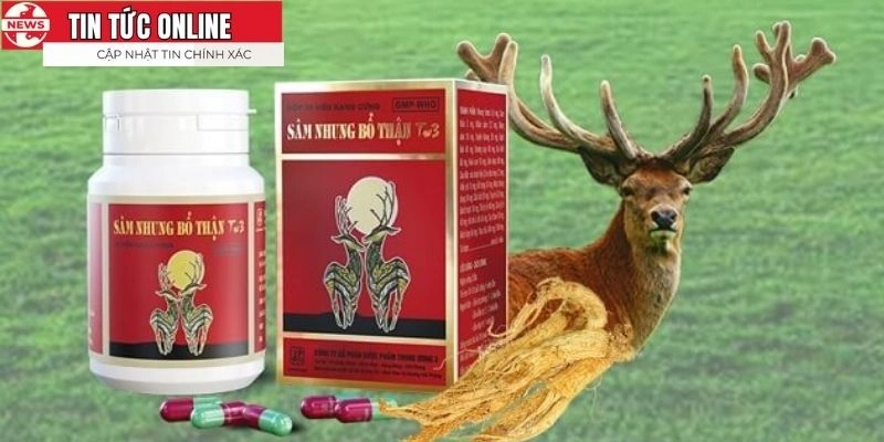 Đem lại vô vàn các tác dụng cho người sử dụng