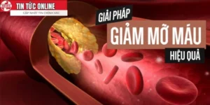 Thực Phẩm Chức Năng Giảm Mỡ Máu Tốt Nhất