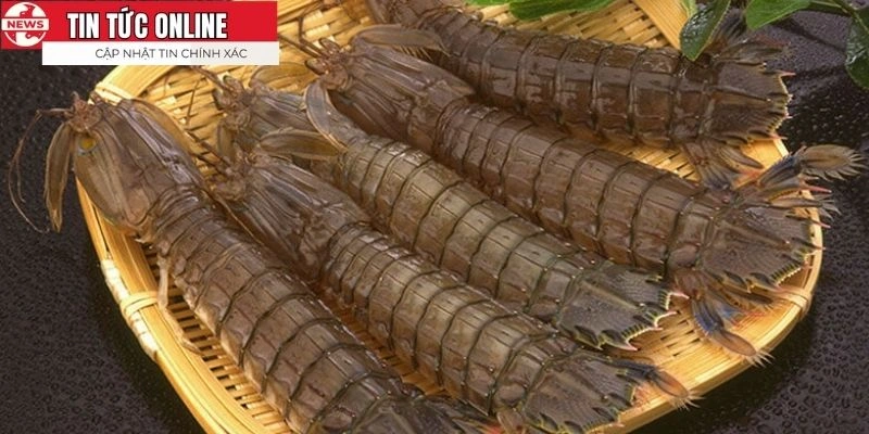 Món ăn hải sản ngon, bổ dưỡng và dễ chế biến để sử dụng